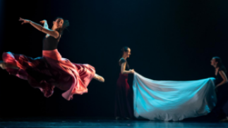 Entradas espectáculo Danza Clásica Cariatriz